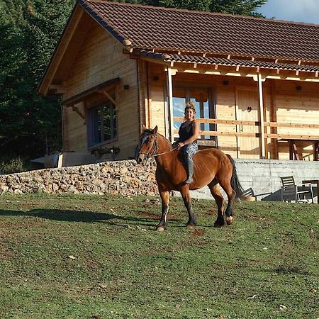 The Farmhouse فيتينا المظهر الخارجي الصورة
