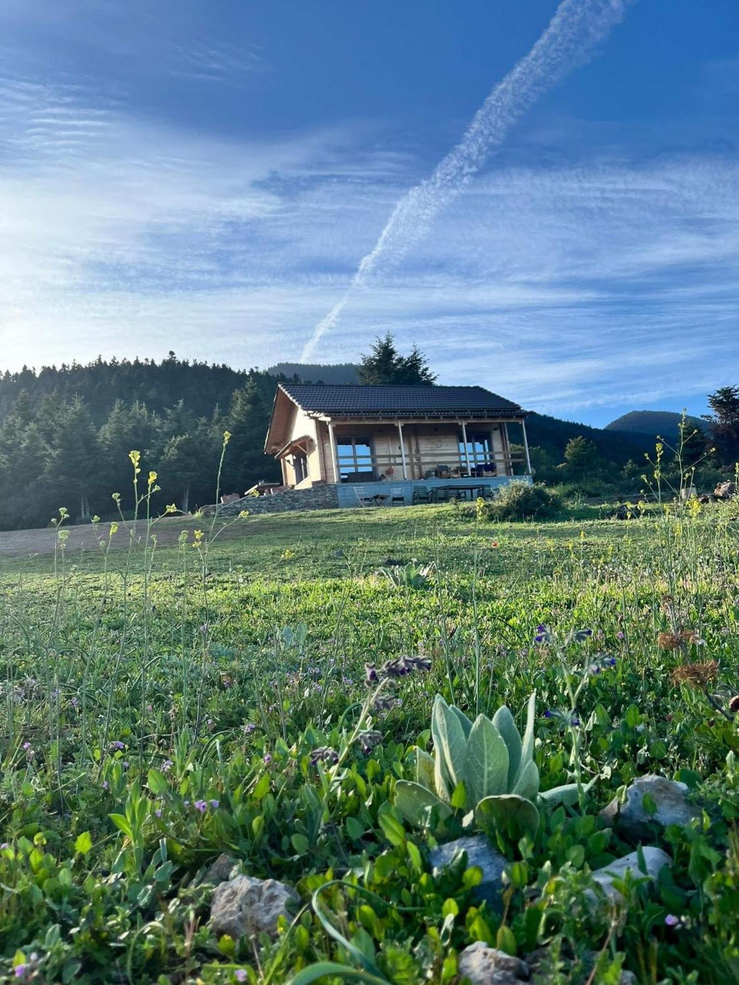 The Farmhouse فيتينا المظهر الخارجي الصورة